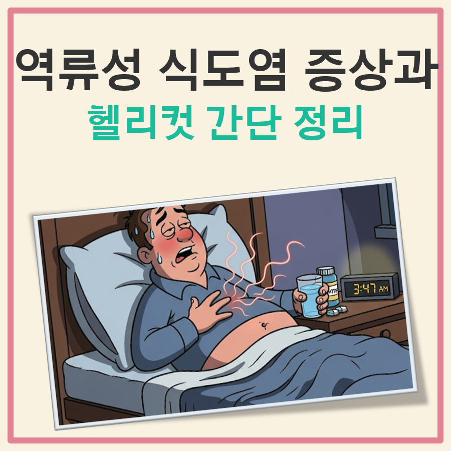 역류성 식도염 증상 헬리컷