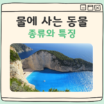 물에 사는 동물 종류와 특징 대표 이미지