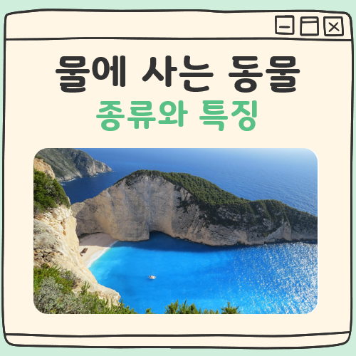 물에 사는 동물 종류와 특징 대표 이미지