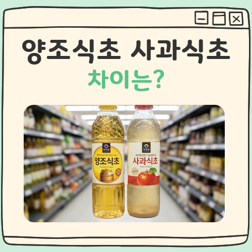 양조식초 사과식초 차이 대표 이미지