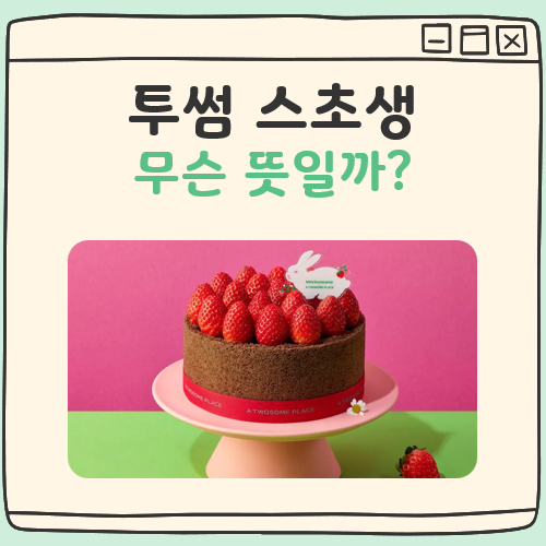 스초생 뜻 대표이미지