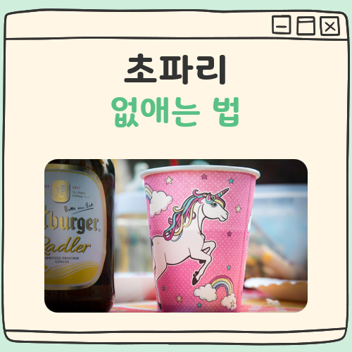 초파리 없애는법 대표 이미지
