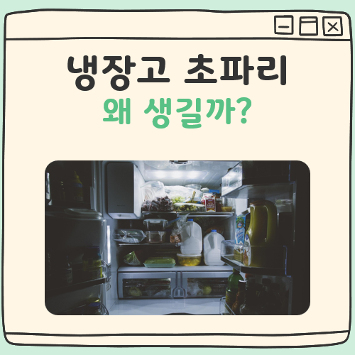 냉장고 초파리 원인 대표 이미지