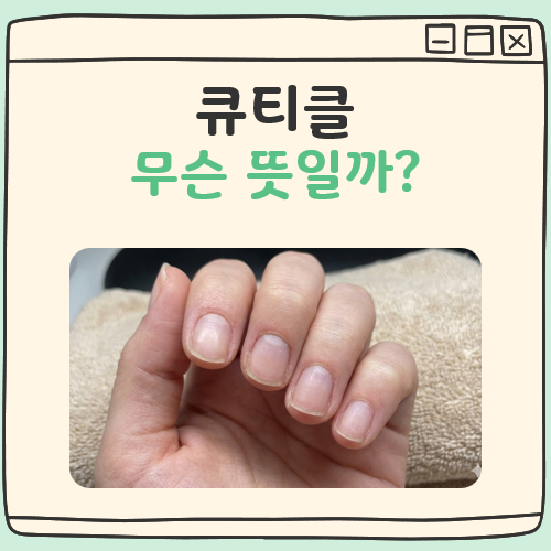 큐티클 뜻 대표 이미지