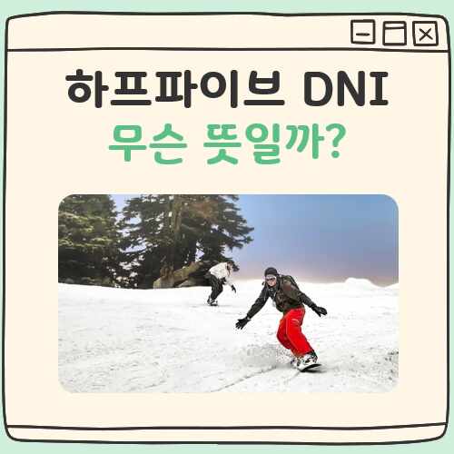 하프파이브 DNI 뜻 대표 이미지