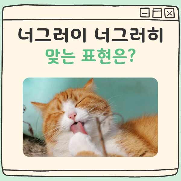 너그러이 너그러히 대표 이미지